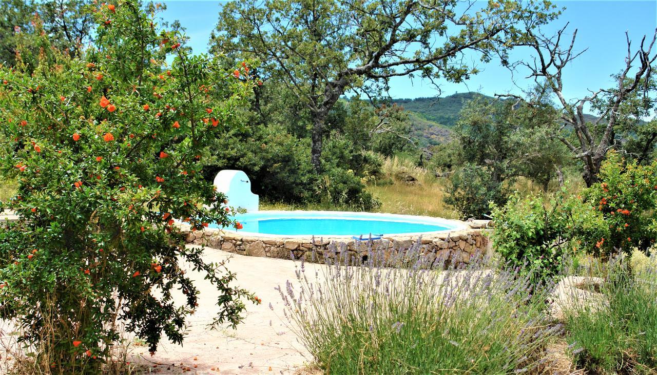 Hostal Quinta Do Marvao Exterior foto